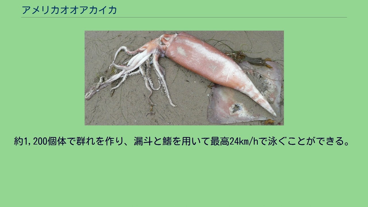 Mbj7wrvnt9mr7m Mbj7wrvnt9mr7m