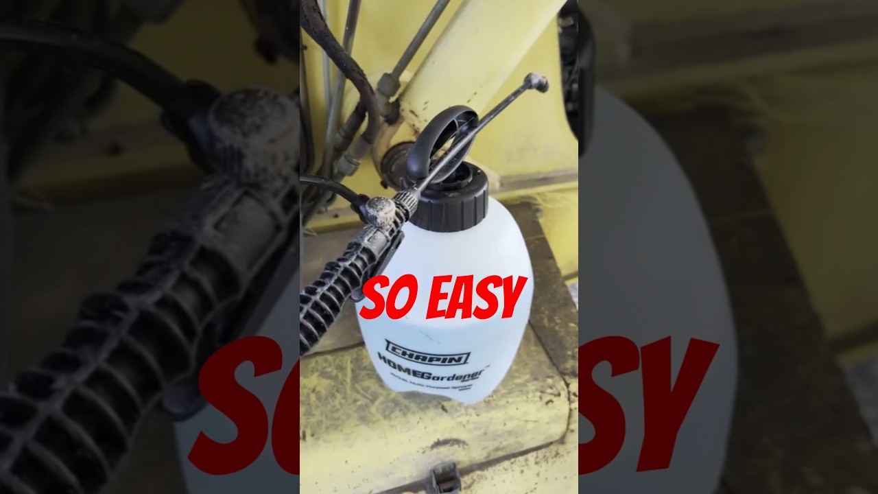 Soap and Water Trick Makes Pests Go Away