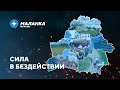 📍 Сокращения на Беларуськалии / Уничтожение лесов / Массовые чистки в регионах