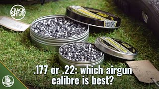 Which airgun calibre? .22 or .177