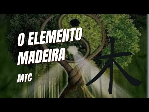 Aula sobre o Elemento Madeira na visão da Medicina Tradicional Chinesa ...