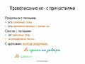 Правописание НЕ- с причастиями (7 класс, видеоурок-презентация)