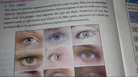 VIII SCIENCE LESSON # 6 TOPIC: INHERITABLE & NON-INHERITABLE CHARACTERS