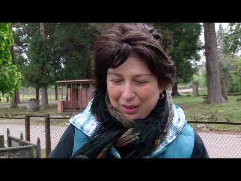 შეიზღუდება თუ არა გურიის რეგიონში სასაფლაოებზე მისვლა