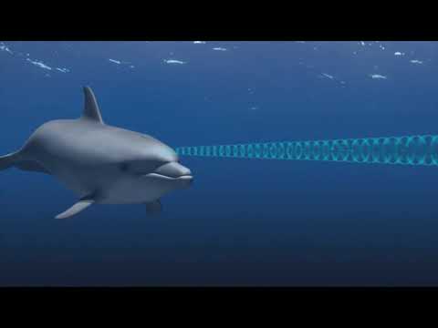 მასწავლებლის სახლი