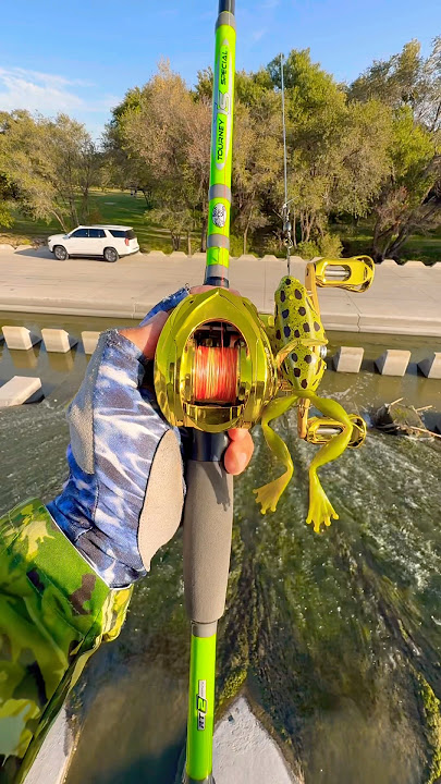 Tips Casting a Baitcaster with frog#fishing#tips#fish#shortvideo#shorts#short#viral#youtubeshorts
