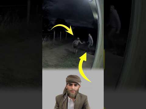 خرج ليل ا بلا ذكر يحميه فهاجمه الجني من حيث لا يراه   