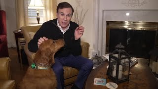 Warning signs of a holiday pet scam