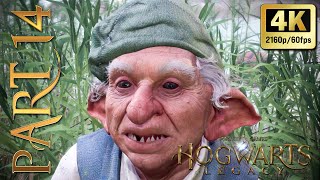 Download Lagu Hogwarts Legacy - Walkthrough Gameplay - Part 14 - (FULL GAME) 4K/60 PC MP3 Download Lagu Hogwarts Legacy - Walkthrough Gameplay - Part 14 - (FULL GAME) 4K/60 PC MP3