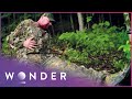 This Man's Hunt Ended In A Deadly Back Breaking Fall | Fight to Survive S2 E8 | Wonder