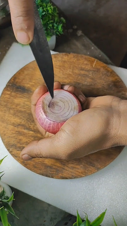 onion mosquito🦟🦟#tips #trending #shorts