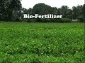 Bio Fertilizers