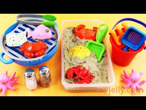 toy jelly youtube