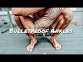 Ankle Exercises for Strength & Mobility (Bulletproof Ankles)