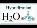 Water Hybridization and Bonding Concepts