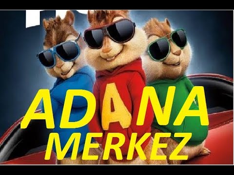 ADANA MERKEZ (ALVİN VE SİNCAPLAR)