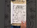 Hilarious Swearing Cats Coloring Book! #gato #cat #catlove #funnypets #sassycat