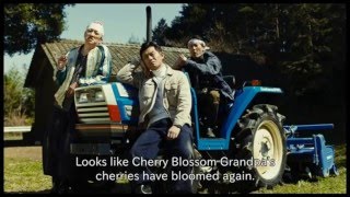 Watch Yoko the Cherry Blossom Trailer