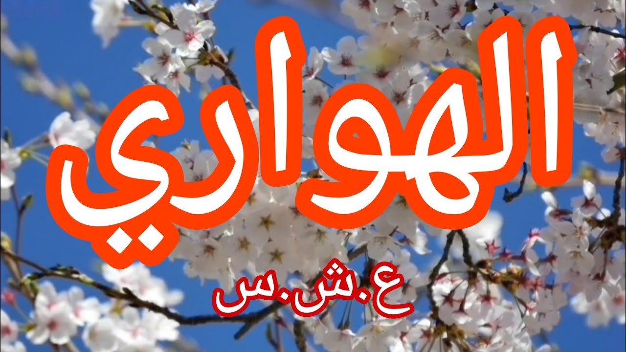 حكاية الهواري.