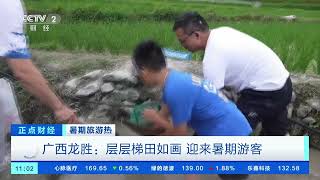 [正点财经]暑期旅游热 广西龙胜：层层梯田如画 迎来暑期游客| 财经风云