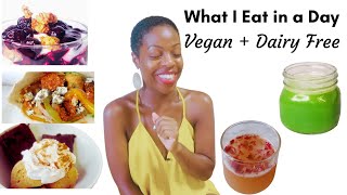 What I Eat in a Day   Dairy Free | Vegan