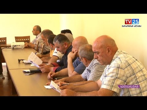 საქართველოში დაბრუნებულ მიგრანტთა სარეინტეგრაციო დახმარების პროგრამა