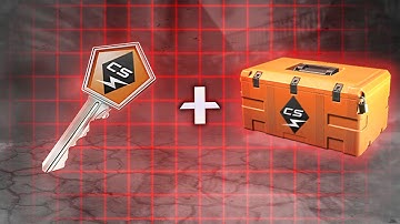 Case a day until we get a GOLD! | DAY #51