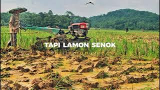 STORY WA LAGU WONG TANI 🌾