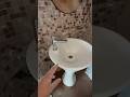 Wash basin fix problem #plumbing #toiletinstallation #bathroom