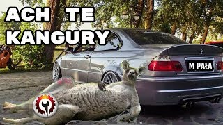 Bmw E46 E39 Szarpanie Przy Ruszaniu Czyli Kangury Cz1 - Youtube