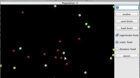 Simulating evolution of neural network driven agents