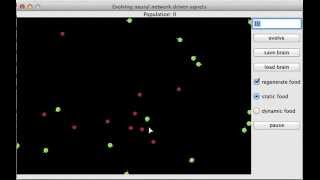 Simulating evolution of neural network driven agents