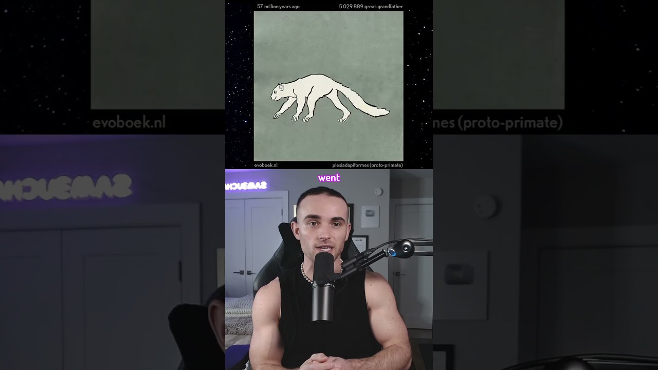 500 Million Years In 40 Seconds