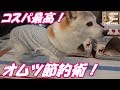 コスパ最高　犬のオムツの作り方(男の子)節約術　（くぅ）