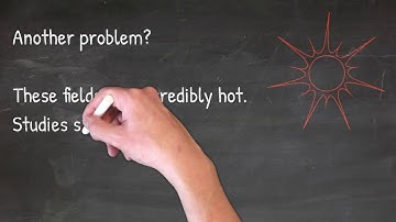 Artificial Turf Fields: What