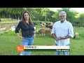 Confira os destaques do RIC Rural de domingo (20 de março)