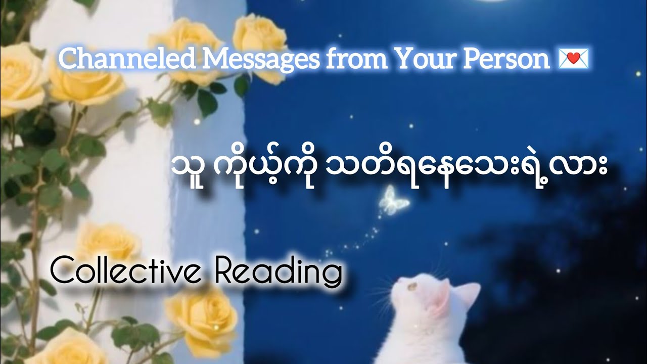 Channeled Messages from Your Person 💌🕊️ Collective Reading 🔮🦄🌿💜🍀🩵✨