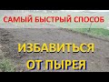 ИЗБАВИТЬСЯ ОТ ПЫРЕЯ - САМЫЙ БЫСТРЫЙ СПОСОБ