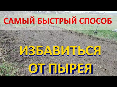 ИЗБАВИТЬСЯ ОТ ПЫРЕЯ