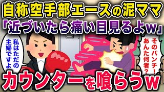 【返り討ち】自称元空手部エース「近づいたら痛い目見るよｗ」→クロスカウンターを喰らわした結果ww【作業用・暇つぶし用】【ゆっくり解説】【総集編】