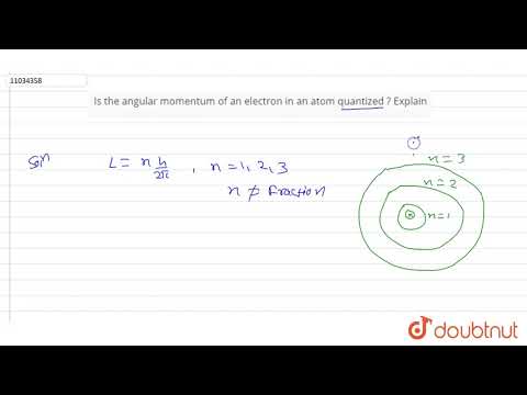 Video: Hvem postulerede, at en elektrons momentum i et atom er kvantificeret?