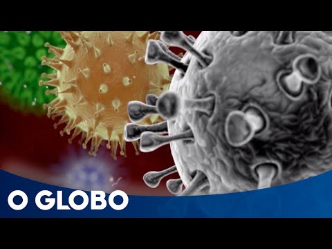 Como o organismo reage a coronavírus, bactérias e outros agentes agressores