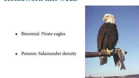 Statistical Rethinking - Lecture 14