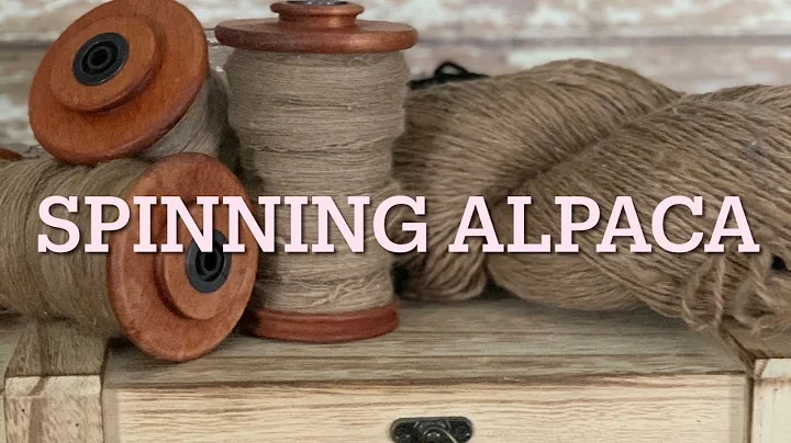 Spinning Alpaca