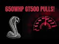 650whp Shelby GT500 Acceleration Runs