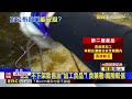 291家業者用到「致癌油」！ 食藥署：不公布名單 @newsebc