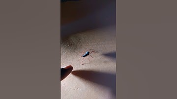 AI Smart Robot 👾 #shorts #viral #video