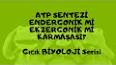 Hücresel Solunum ve ATP Üretimi ile ilgili video