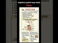 Digestive System in Seconds 🤯 | QED Quiet Easy Done with Archana #DigestiveSystem #BiologyShorts#qed