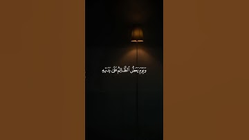 القارئ فارس عباد🌱| #قرآن #قران_كريم #فارس_عباد